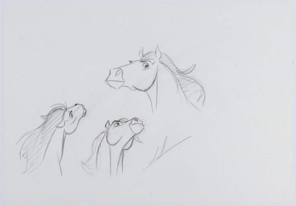 stallion 01